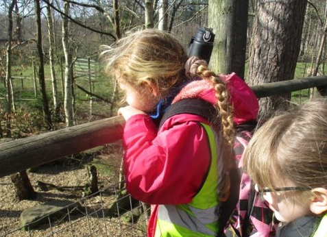 Photo of children at Wildwood animal park