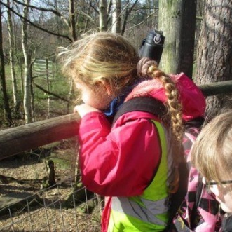 Photo of children at Wildwood Animal Park